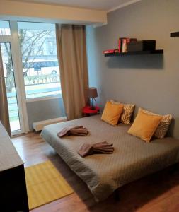 Cozy 2-Bedroom flat with Terrace & Parking by Alfa