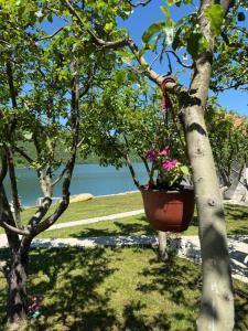 Apartmani Kod Draskovica