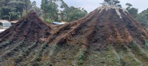 Jangwani River View Suits
