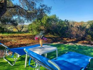 Chalet dimora tra gli ulivi