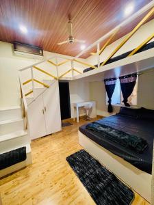 Dormyy backpackers castle