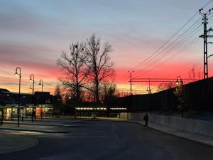 DR ÅSA Bed n Breakfast by the Forest w Swimming Pool near Golf, Concerts and the Baltic Sea Beach