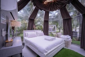 The Coco Journey - Eco Dome
