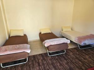 Rum Adventures Hostel