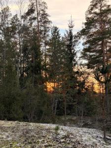 DR ÅSA Bed n Breakfast by the Forest w Swimming Pool near Golf, Concerts and the Baltic Sea Beach