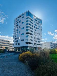 Exclusive SKY Penthouse in Thun