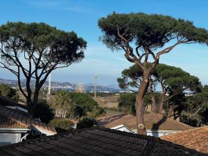 Californian Villa Pool