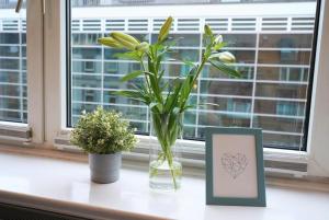 Moderne City Apartments im Stadtzentrum