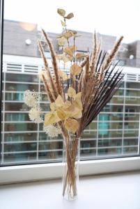 Moderne City Apartments im Stadtzentrum