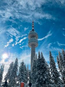 Green Line Studio Appartment Pamporovo