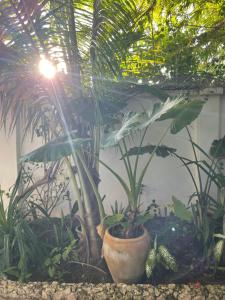 Nakupenda paje villa