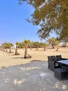 Sultana Suite by Maj Nia - Jardin - Piscine - Luxe - 4 Px