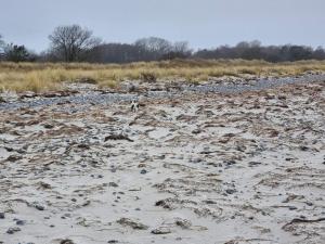 8 person holiday home in Stege-By Traum