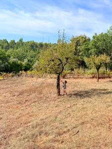 Monte do Garnacho - Villa in the Mountains
