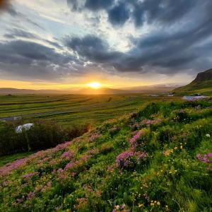 Prestshús 2 Guesthouse