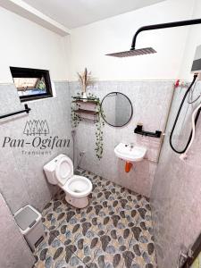 Pan-Ogifan Transient