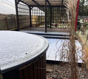 Peace, Pines & Pure Air