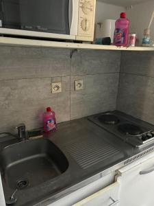 Charmant studio proche Disneyland Paris