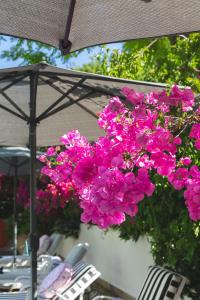 Last Word Constantia