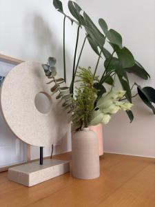 Plumeria Cottage Haven by the Beach 25mins from Sydney CBD