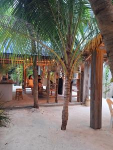 The Palm Ray Rasdhoo