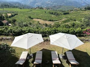 Casa Belo Horizonte - Luxury in the Douro Valley