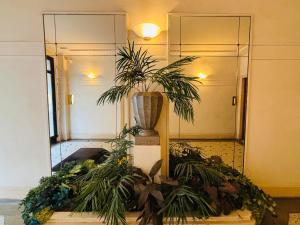 2-bedrooms apart near Parc des Princes