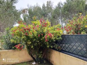 Le case di Bea img91