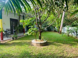 Secret Paradise One BedRoom Private Villa