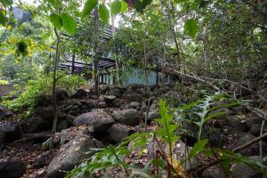 Hanumans Nest Private Jungle Villa - 4 Bedroom Villa