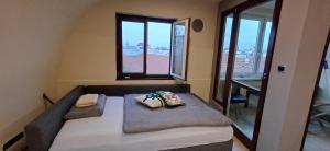 Rooftop Deluxe apartment