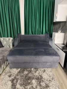 Luxury Apartment Romanescu