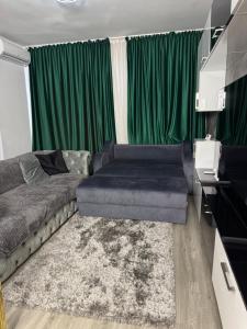 Luxury Apartment Romanescu