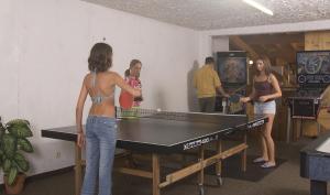 Hotels Hotel Les Cotes, Residence Loisirs et Chalets : photos des chambres