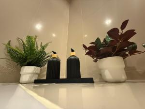 Modern Suite near BTS Nana Netflix Sky View