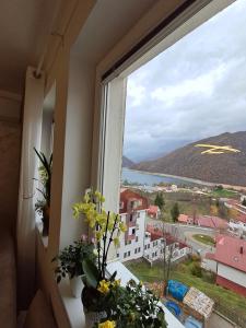 Apartman PETRA QUEEN