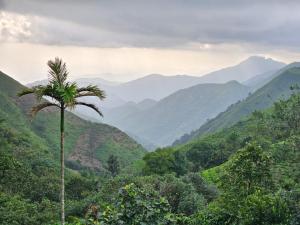 Mountain Rooms And Homestay
