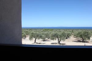 Serra Niedda Resort & Agriturismo img74