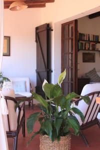 Villa con discesa privata a mare img15