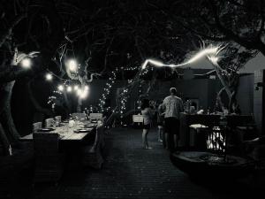 Nestled Between Milkwood - Franskraal Retreat