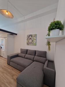 Hoy Cotillo Apartments