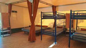 Les 2 étangs La Foulonnerie Lodge - Tente