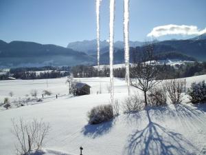 Gästehaus Wiesenhof