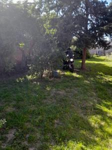 Hostel, La Casa del Patio