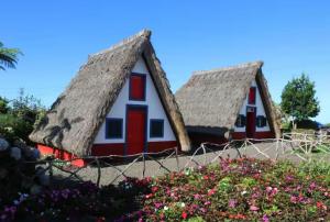 House Villa Butterfly
