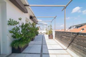 El Rincón de las Estrellas Junto al Sol