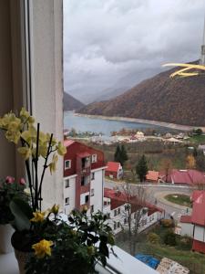 Apartman PETRA QUEEN