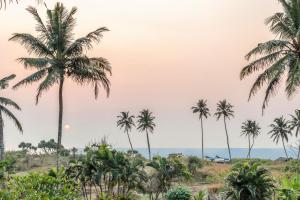 Jasminn Cansaulim Luxury 3BHK Seaview Villa