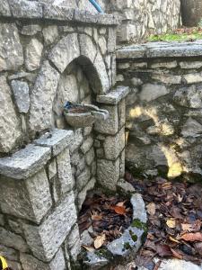 MOUNTAIN NEST - your fairytale escape