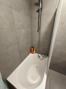 Un deux pièces et un jardin à Villejuif